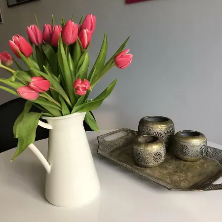 Stilvolles In Den Bergen Um - Erholen Garantiert! Apartamento